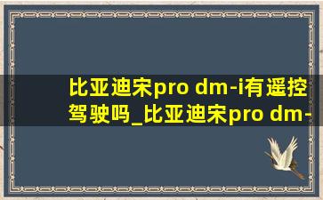 比亚迪宋pro dm-i有遥控驾驶吗_比亚迪宋pro dm-i遥控驾驶功能